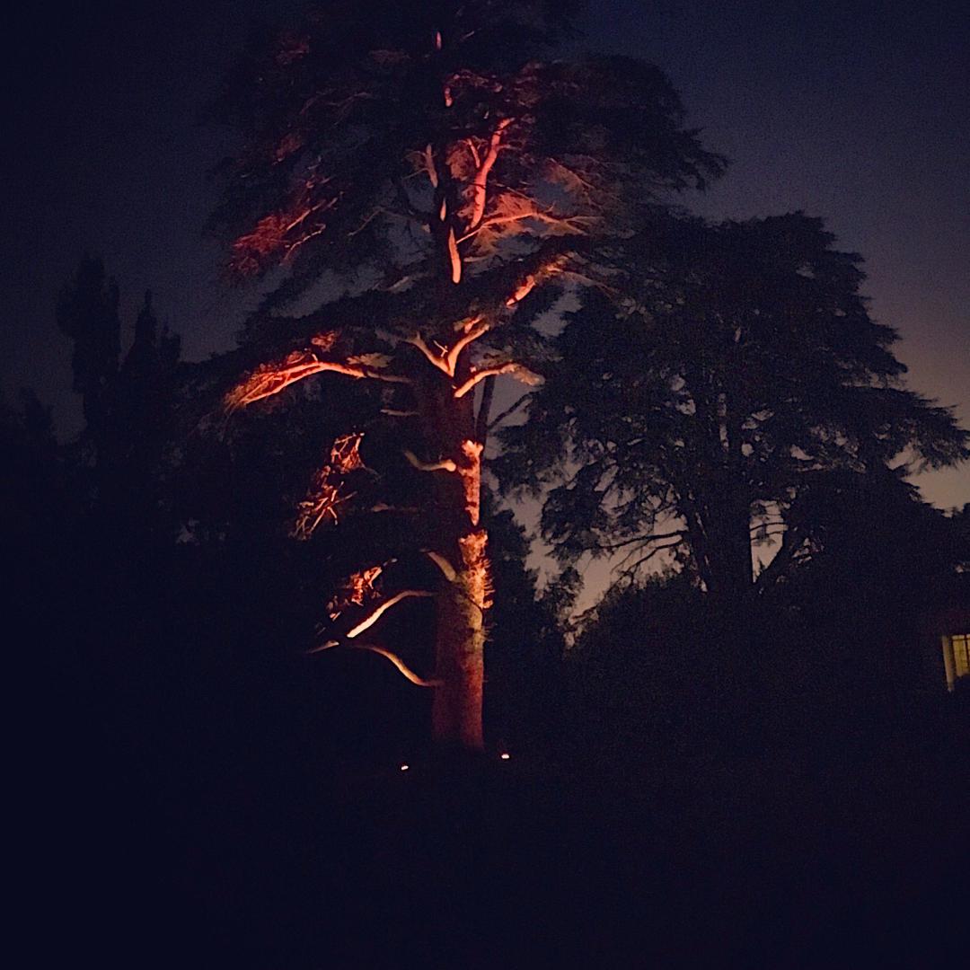 Lumières espace dîner et extérieur